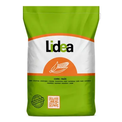 Pagani CS / Пажані КС