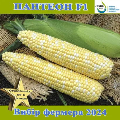 PANVINIO / ПАНВІНІО