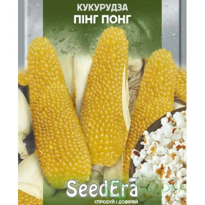 Pincki CS / Пінкі КС