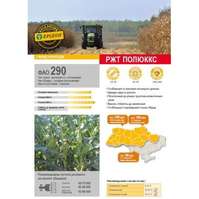 Poluxx / Полюккс