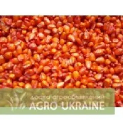 PR38B12 / ПР38Б12