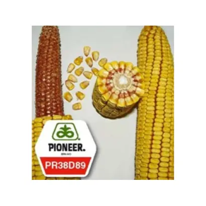 PR38H67 / ПР38Г67