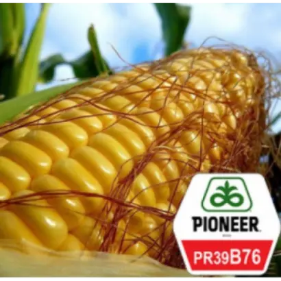 PR39B76 / ПР39Б76