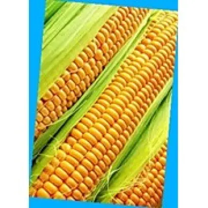 PR39W45 / ПР39В45