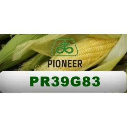 PR39G83 / ПР39Г83