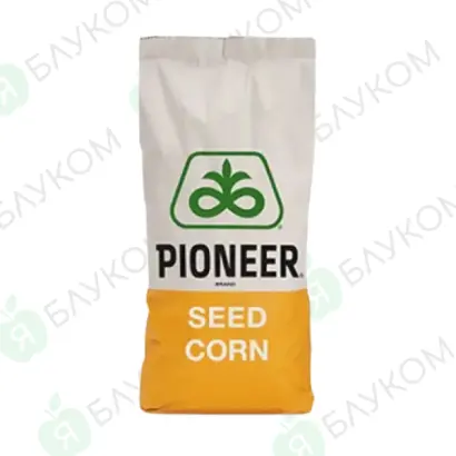 PR39D81 / ПР39Д81