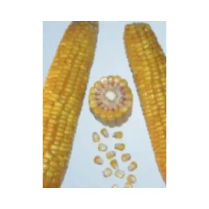 PR39K13 / ПР39К13