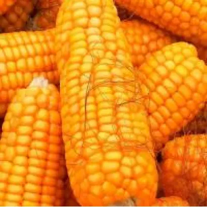 PR39R86 / ПР39Р86