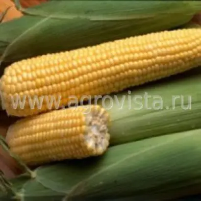 Realli CS / Реаллі КС