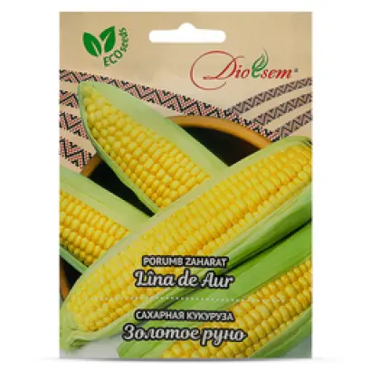 Renoso / Ренозо