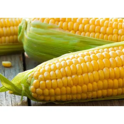 Репутація СВ