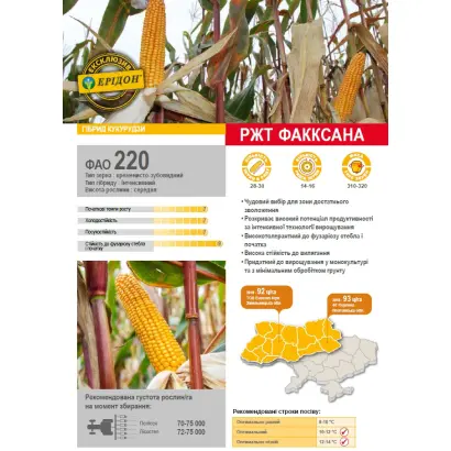 RGT FAXXANA / РЖТ ФАККСАНА