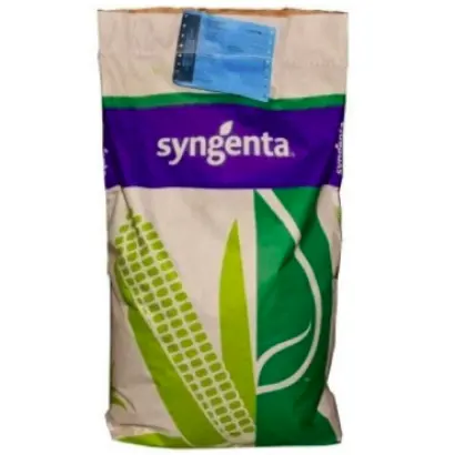 SY Enigma / СИ Енігма