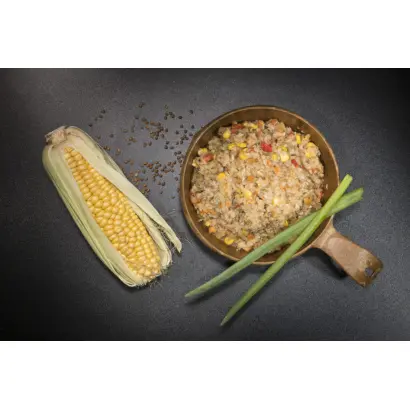 Tactic / Тактік