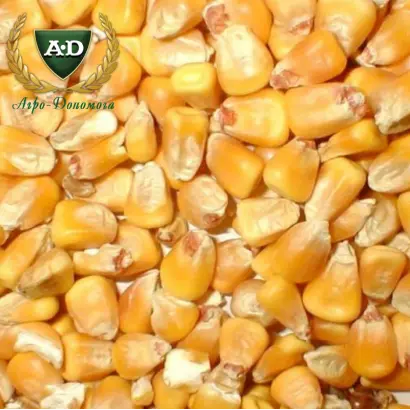 Харьковский 329 МВ / Харківський 329 МВ