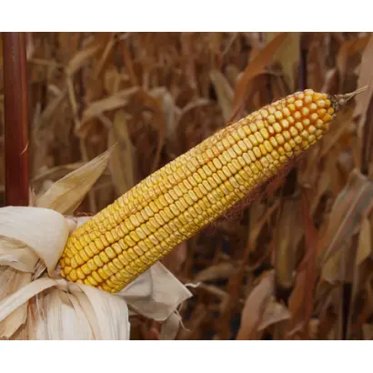 Харківський 340 МВ