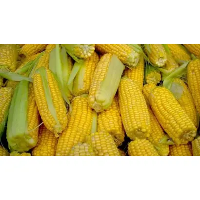 Ceresia / Церезія