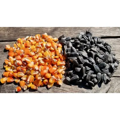 SUM 1088 / CУМ 1088