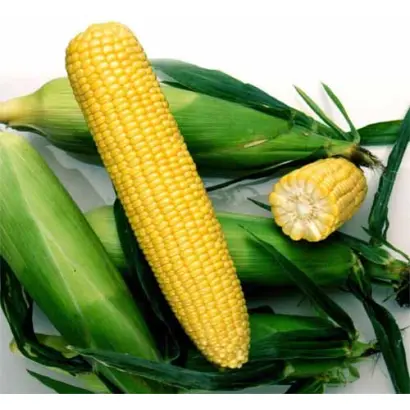 Novania / Нованія