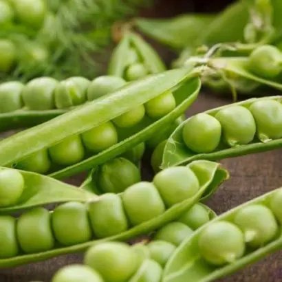 Geneva / Женева