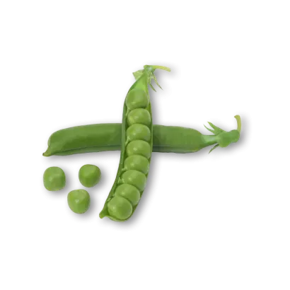 MEDION / МЕДІОН