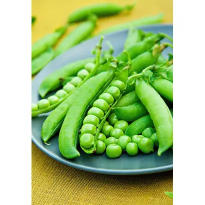 ROMAGO / РОМАГО