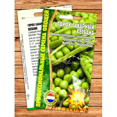 Hesbana / Хесбана