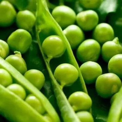 Lypton / Ліптон