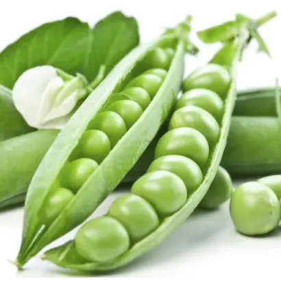 SABRINA / САБРІНА