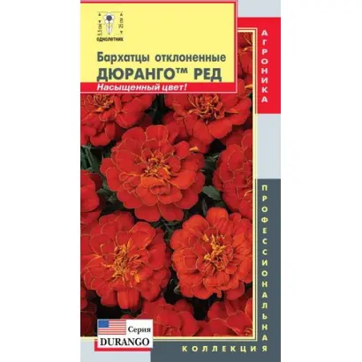 Durango / Дюранго