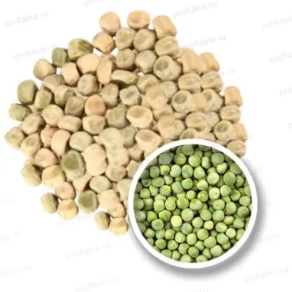 Avatar / Аватар