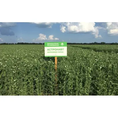 Astronaute / Астронавт