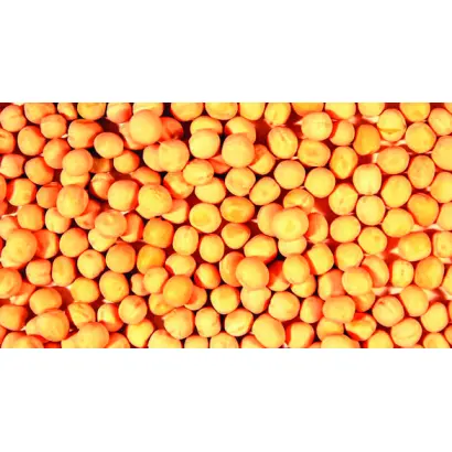 Lessna / Лессна