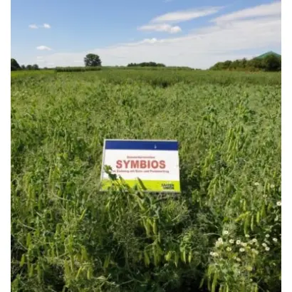 Symbios / Симбіоз