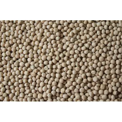 Gregor / Грегор