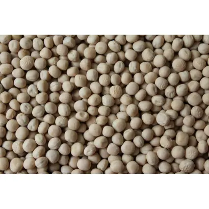 Інтенсивний 97