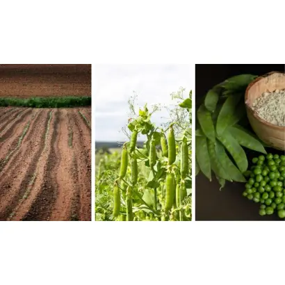 Харківський 317