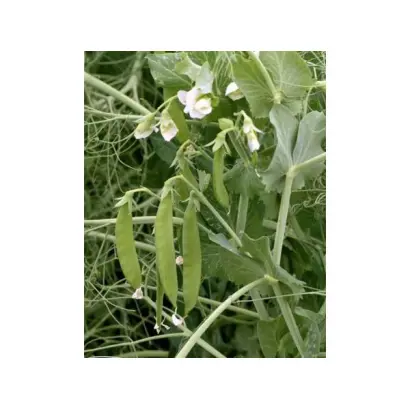 Харківський 376