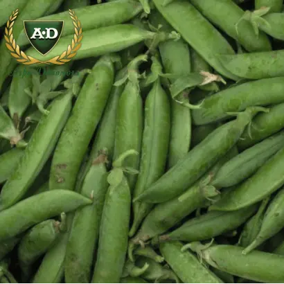 Харківський еталонний