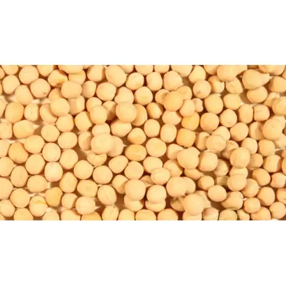 Balltrap / Балтрап