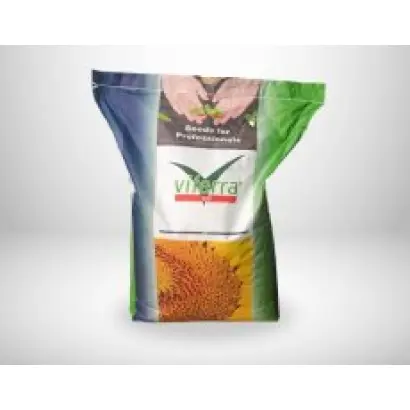 Alexa SU / Алекса СУ