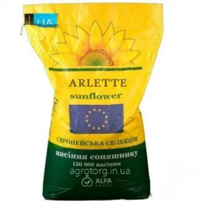 Arlette / Арлет