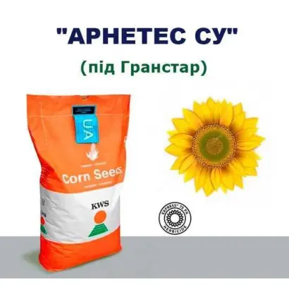 ARNETES SU / АРНЕТЕС СУ