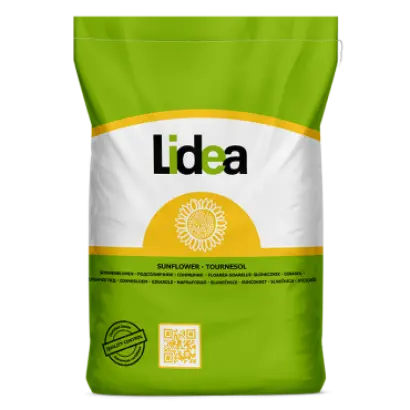 AIACE SU / АЯЧЕ СУ