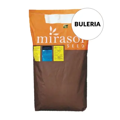 Buleria / Булерія