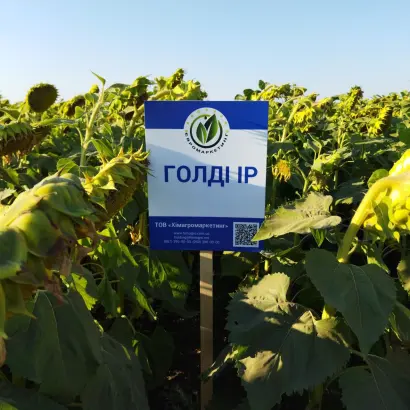 Goldy IR / Голді ІР