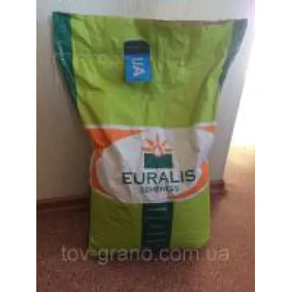 ES Bambina / ЕС Бамбіна