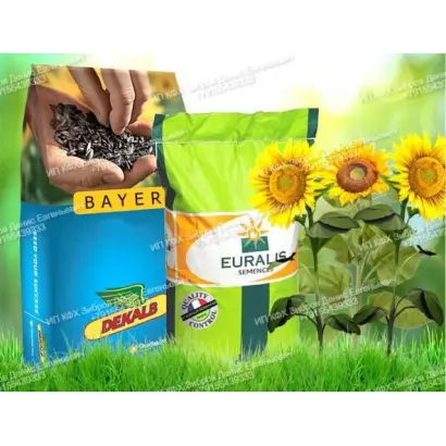 ES Besana / ЕС Бесана