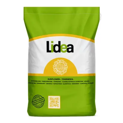 ES GAMA / ЕС ГАМА