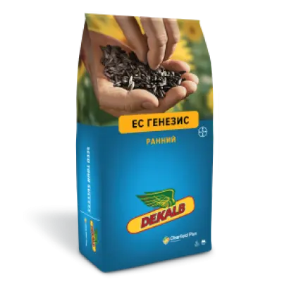 ES ELLENIS / ЕС ЕЛЕНІС